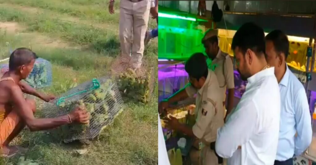 तेजप्रताप यादव की रेड से मचा हड़कंप, सघन अभियान चलाकर 2000 से ज्यादा पक्षियों को कराया मुक्त 1 20220915 204621