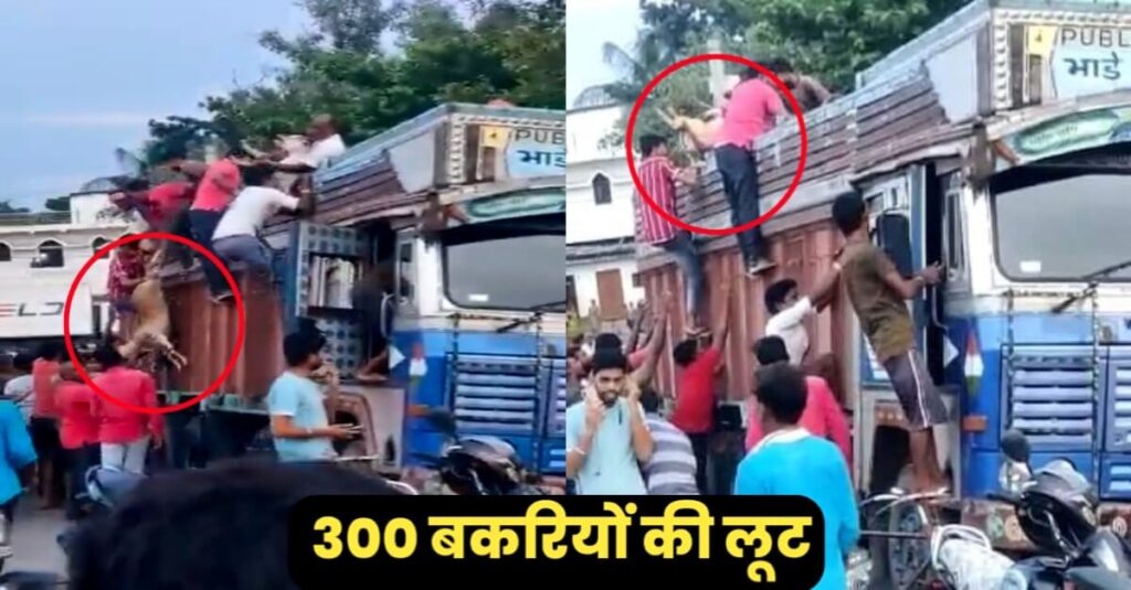 बिहार के इस जिले में बीच सड़क पर मची बकरियों की लूट, तमाशा देख हर कोई था हैरान, जानें मामला 1 20220921 130827