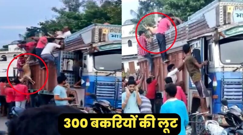 बिहार के इस जिले में बीच सड़क पर मची बकरियों की लूट, तमाशा देख हर कोई था हैरान, जानें मामला 1 20220921 130827