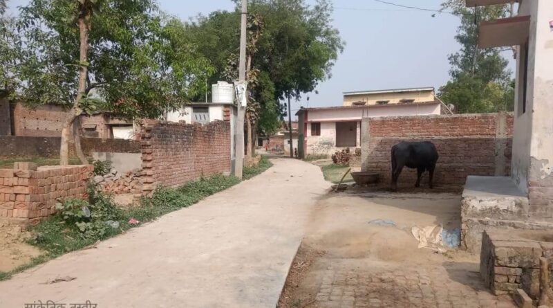 IMG 20220401 WA0026 01