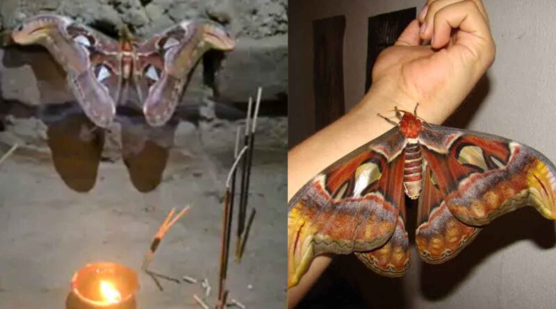 Picsart 22 09 26 15 00 04 690