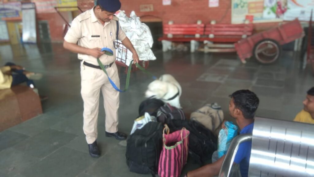 समस्तीपुर: दीपावली व छठ को लेकर लौटती ट्रेनों में बढ़ी भीड़ को देखते हुए RPF चौकस, डॉग एस्क्वायड से हो रही जांच 1 20221012 090746