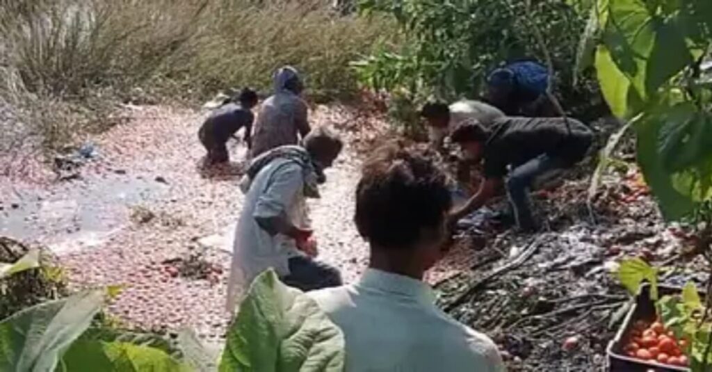 बिहार में इंसानियत हुई शर्मसार, एक्सीडेंट के बाद सड़क पर पड़ा रहा शव, भीड़ लूटती रही टमाटर 1 20221024 070240