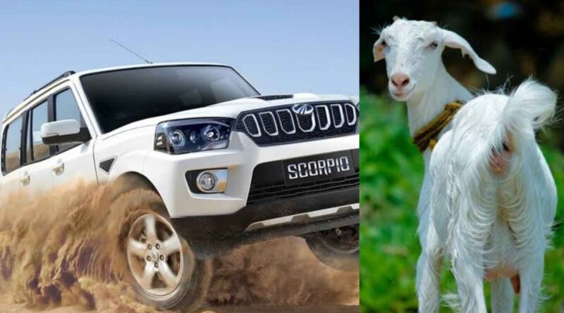 GridArt 20221019 180652550 1