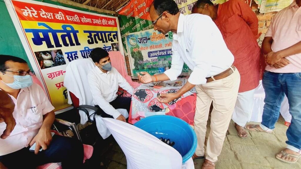 डीएम ने मोती की खेती और उसके उत्पादन के बारे में ली जानकारी, कहा- मोती की खेती में की जाएगी हरसंभव सहायता 1 IMG 20221020 WA0008 01