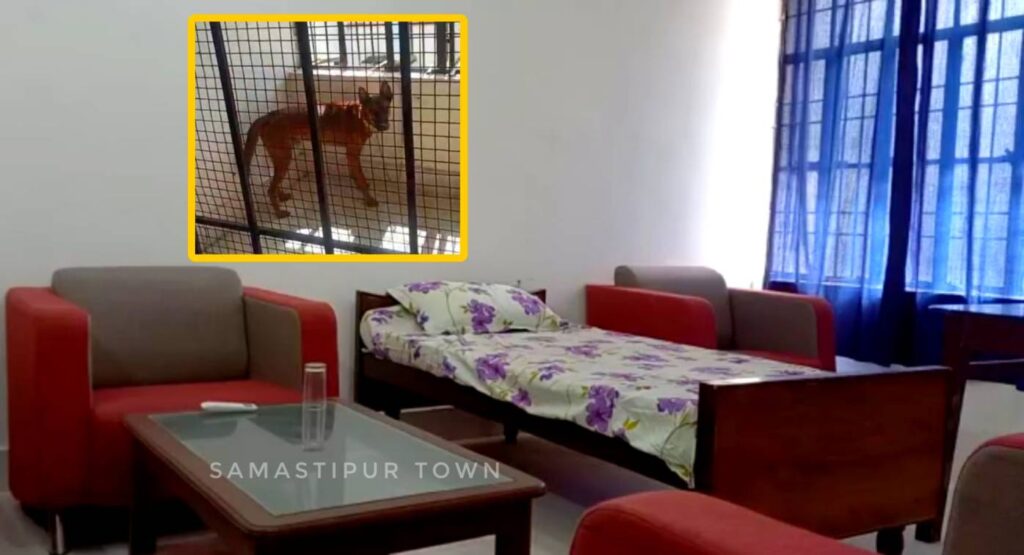 समस्तीपुर: शराब मामले में पकड़े गए हाईप्रोफाइल लोगों के लिए VIP ट्रीटमेंट वाला हाजत बना चर्चा का केंद्र, कुत्ता करेगा पहरेदारी 1 Picsart 22 10 08 12 40 14 109 01