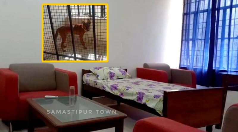 Picsart 22 10 08 12 40 14 109 01