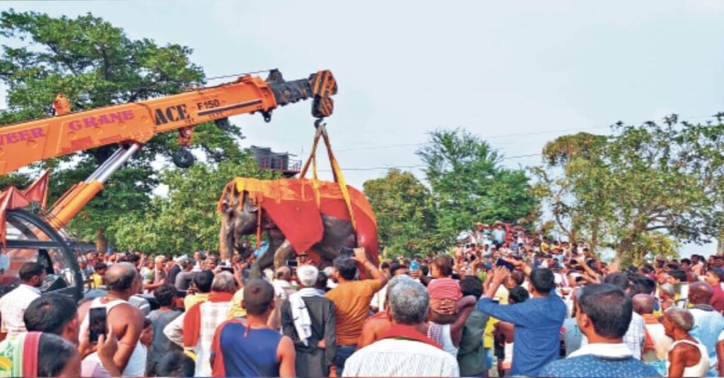 दहेज में मिली हथिनी की मौत से मायूम हो गया बिहार का ये जिला, लोगों ने नम आंखों दी विदाई 1 20221108 164547