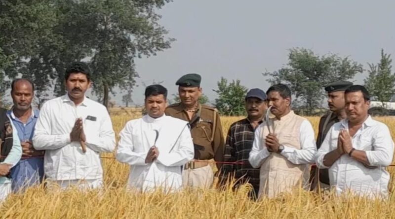 धोती-कुर्ता पहनकर खेत में पहुंचे शेखपुरा के डीएम सावन कुमार, हंसुआ थामा और करने लगे धान कटनी 1 20221117 155748