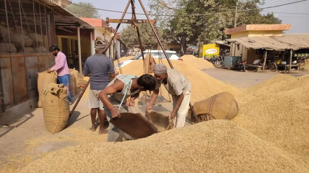 भारतीय खाद्य निगम किसानों से खरीदेगा 2425 रुपये प्रति क्विंटल गेहूं, 48 घंटे के अंदर सीधे खाते में होगा भुगतान 1 356796 paddy procurement 2021 21 update minimum support price punjab haryana uttar pradesh update 01