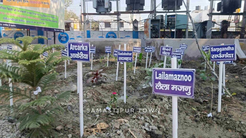 समस्तीपुर सदर अस्पताल में मरीजों के लिए अनूठी पहल, हर्बल गार्डेन बनाकर उसमें लगाए गए औषधीय गुण वाले पौधे 1 IMG20221118123426 01 1