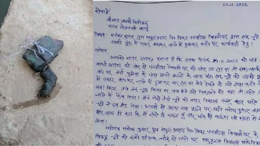 चूहे को नाली में डुबोकर मारने वाला शख्स 10 घंटे रहा पुलिस हिरासत में, पोस्टमॉर्टम कराने AC कार से चूहे की लाश को भेजा गया 1 Picsart 22 11 27 10 25 23 510