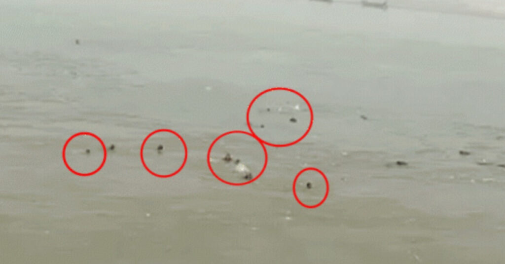बिहार में बड़ा हादसा, 15 लोगों को लेकर जा रही नाव गंगा नदी में समाई, 7 लापता, तलाश जारी 1 20221230 170932