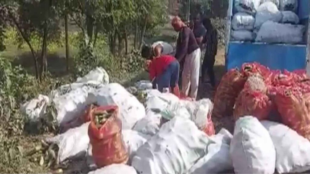 दलसिंहसराय से बैंगन लोड कर अररिया जा रहा पिकअप पलटा, ताजी सब्जी लूटने की मची होड़, कामधंधा छोड़ सभी लगाने लगे दौड़ 1 Picsart 22 12 05 21 41 16 539