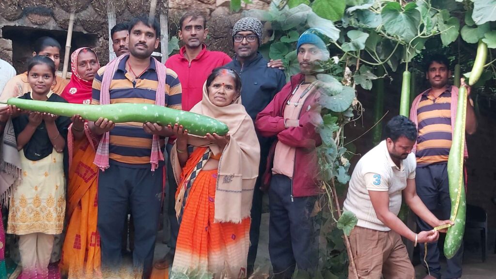 बिहार के किसान ने उपजाया आदमी से भी बड़ा कद्दू! देखनेवालों का तांता, जानिए कितनी है लंबाई 1 kmc 20221207 145417