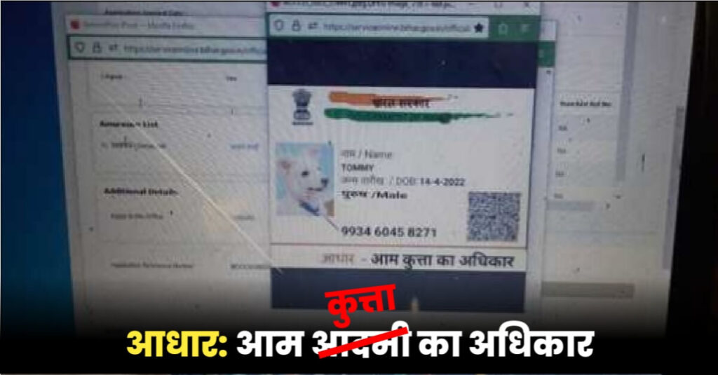 बिहार में कुत्ते ने जाति प्रमाण पत्र बनाने के लिए दिया ऑनलाइन आवेदन, नाम बताया टॉमी, पिता शेरू, तो मां गिन्नी 1 20230203 082348