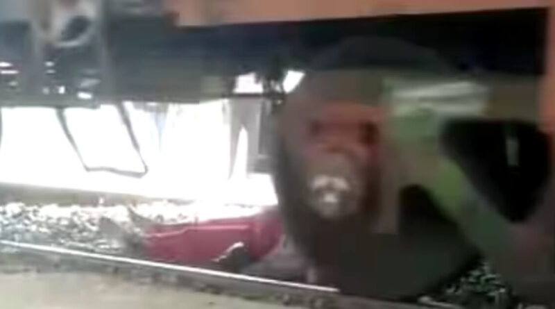 बिहार: महिला शिक्षक के ऊपर से गुजर गए मालगाड़ी के 30 डिब्बे, बाल-बाल बची जान 1 20230211 070855