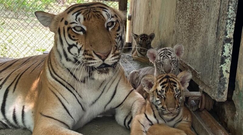 cfed0cf0 bb0d 4074 a062 efe66c3aefb01659059959398 1659063229 01