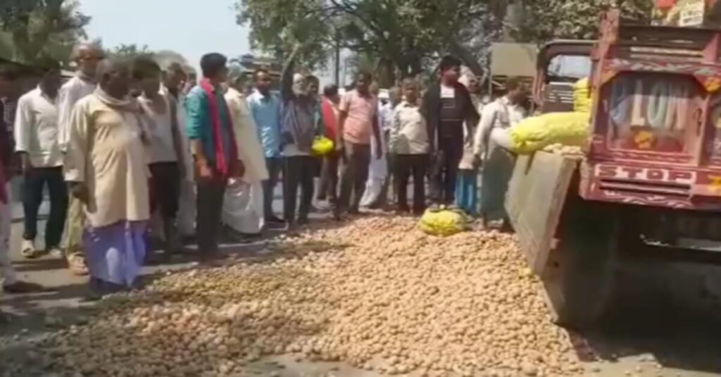 4 रूपये किलो भी कोई आलू खरीदने को तैयार नहीं, गुस्साएं किसानों ने आलू को सड़कों पर फेंका, गाड़ियों से रौंदा 1 20230310 061703