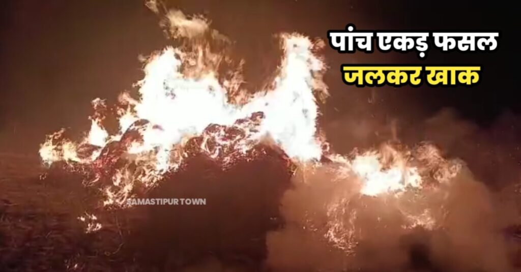 हसनपुर के दुधपुरा गांव में गेहूं के खेत में आग लगने से करीब पांच एकड़ में लगी फसल जलकर खाक 1 20230331 092829