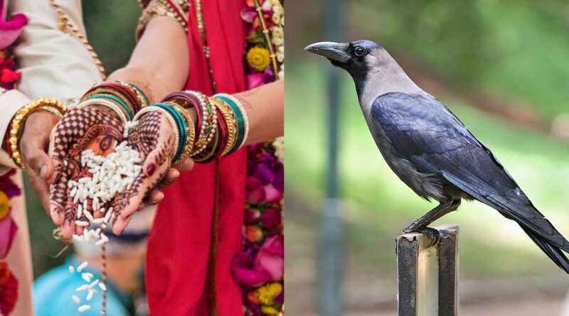 GridArt 20230310 083722355