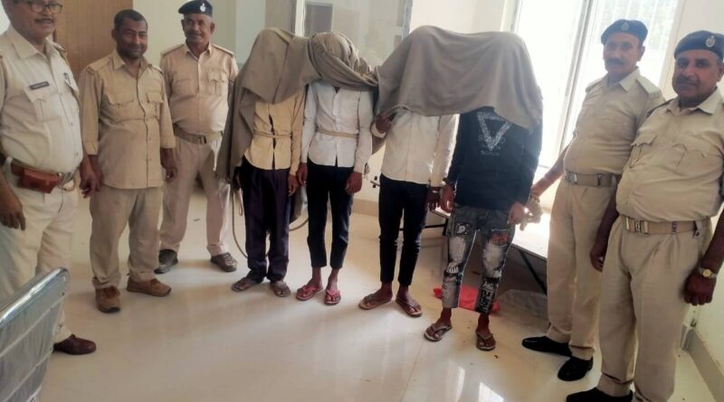 IMG 20230329 WA0053 01