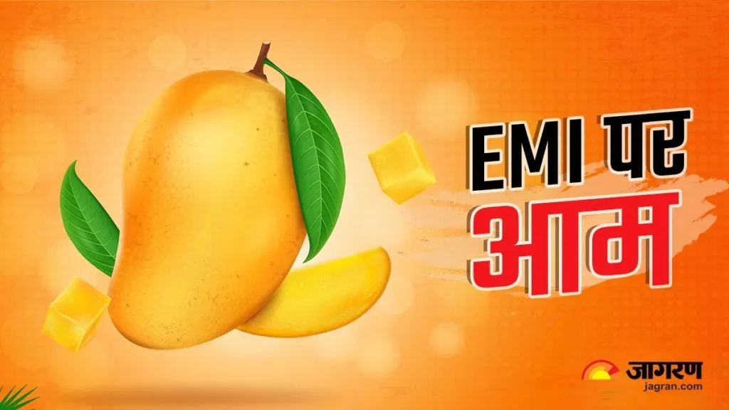 EMI पर आम बेच रहा ये दुकानदार, अभी खा लो पैसे 12 महीने तक देते रहना 1 08 04 2023 emi mangos 23379584 115251452