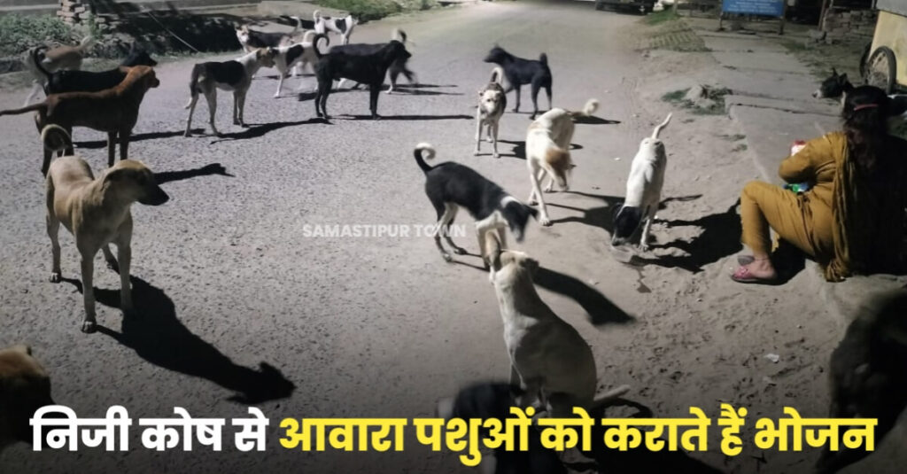 सड़कों पर रहने वाले आवारा कुत्तों व गायों की सुरक्षा व भोजन-पानी के लिये कुंदन ने समस्तीपुर नगर निगम से की अपील 1 IMG 20230405 WA0096