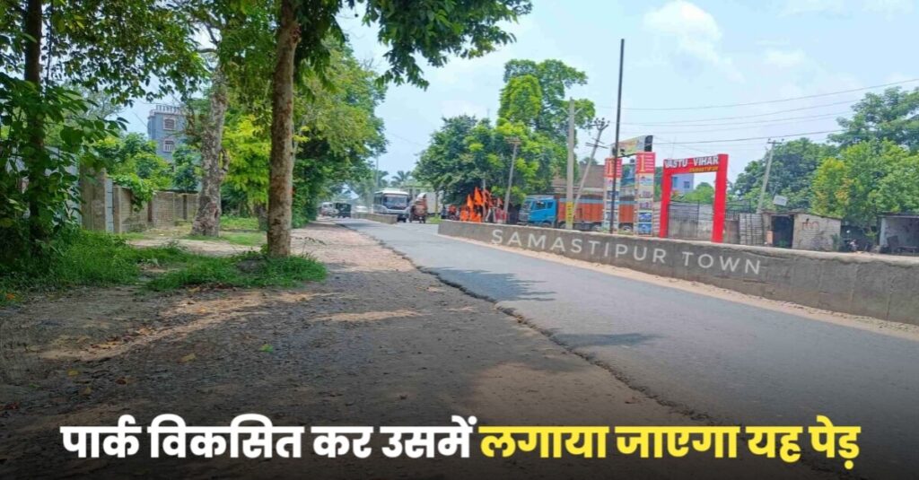 समस्तीपुर-मुसरीघरारी पथ पर चौड़ीकरण को लेकर वृक्षों का पातन व स्थानांतरण शुरू, सावधानी पूर्वक करें यात्रा 1 IMG 20230430 WA0028