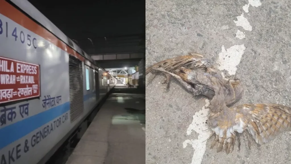 बिहार: इंजन में उल्लू फंसने से रुकी मिथिला एक्सप्रेस, ढाई घंटे रेल सेवा रही बाधित 1 13 05 2023 train 23411204