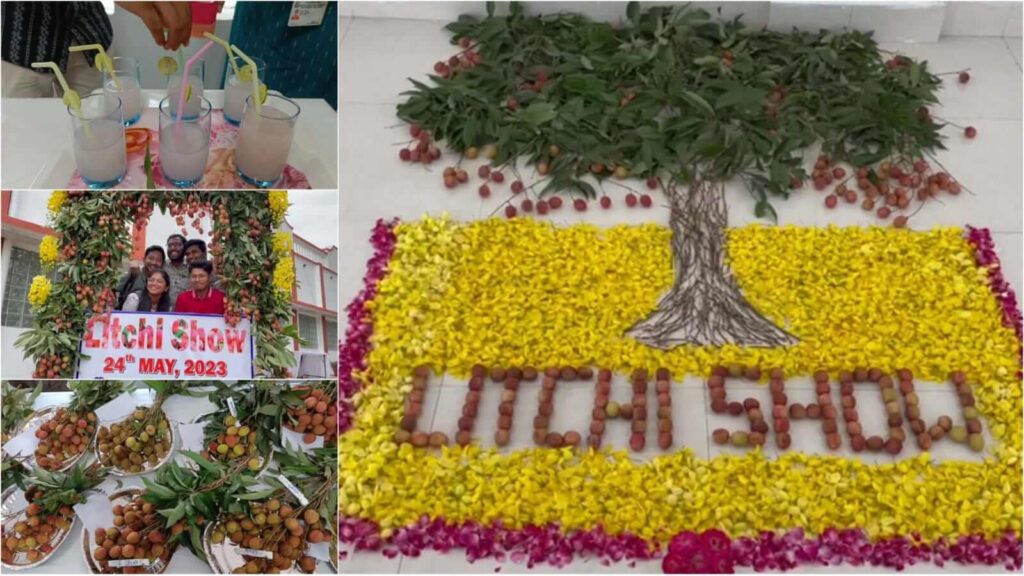 डॉ. राजेंद्र प्रसाद केंद्रीय कृषि विश्वविद्यालय पूसा में लीची प्रदर्शनी का किया गया आयोजन 1 IMG 20230524 WA0063