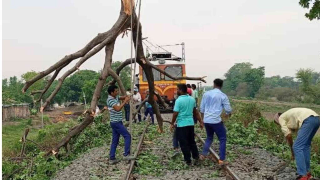 आंधी-बारिश के कारण खगड़िया में रेलवे ट्रैक पर गिरा पेड़, सहरसा-समस्तीपुर स्पेशल ट्रेन कैंसिल 1 Picsart 23 05 04 22 39 26 080