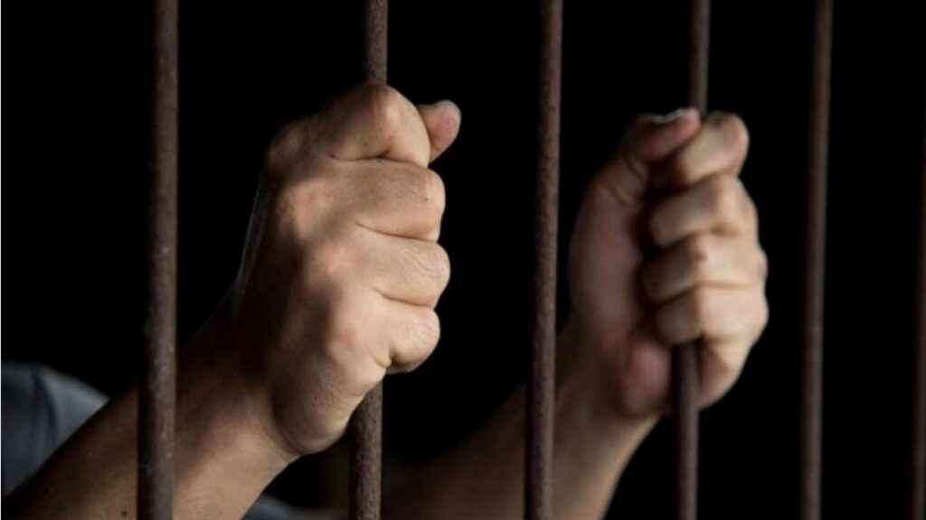 लगुनियां सूर्यकंठ स्थित एक घर में चोरी का 24 घंटे में खुलासा, मोबाइल समेत एक गिरफ्तार 1 Picsart 23 06 23 08 13 07 350 1