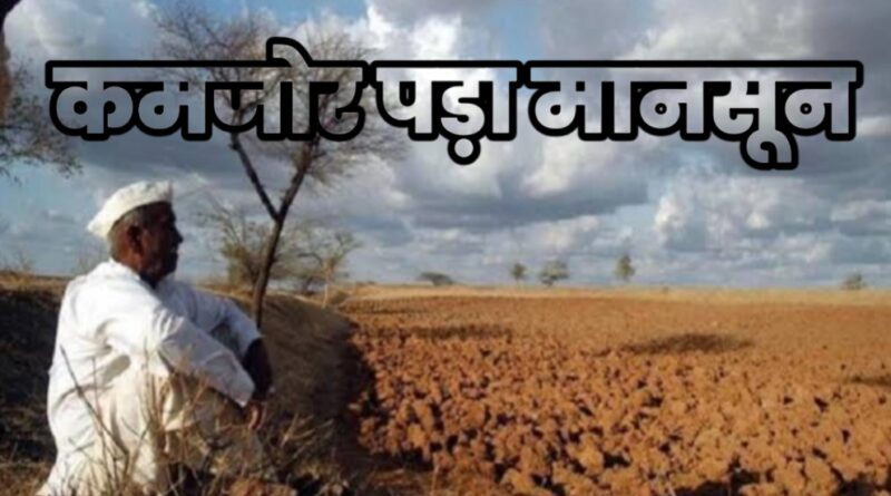 बिहार में कमजोर पड़ा मानसून, इन इलाकों में हल्की बारिश व वज्रपात के आसार; 28 जून तक सताएगी गर्मी 1 Screenshot 2023 0625 091057