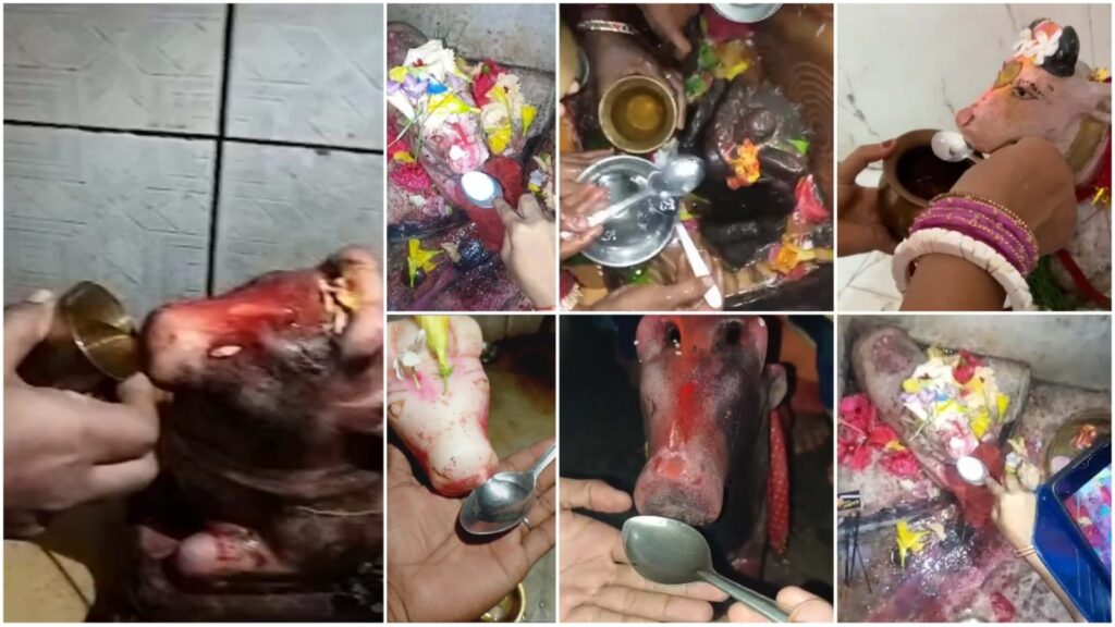 समस्तीपुर जिले के एक दर्जन से अधिक शिवमंदिरों में नंदी महराज को दूध-जल पिलाने की लगी होड़, सोशल मीडिया पर भी लोग लगा रहे वीडियो... 1 IMG 20230709 WA0098