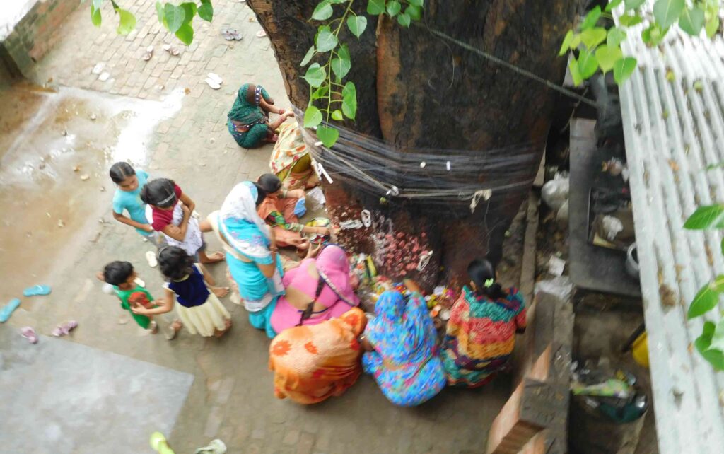 समस्तीपुर: हरियाली अमावस्या पर महिलाओं ने पीपल के पेड़ में 108 बार धागा लपेट कर किया पूजा-पाठ 1 Somvati Amavasya Vrat सोमवती अमावस्या व्रत 01