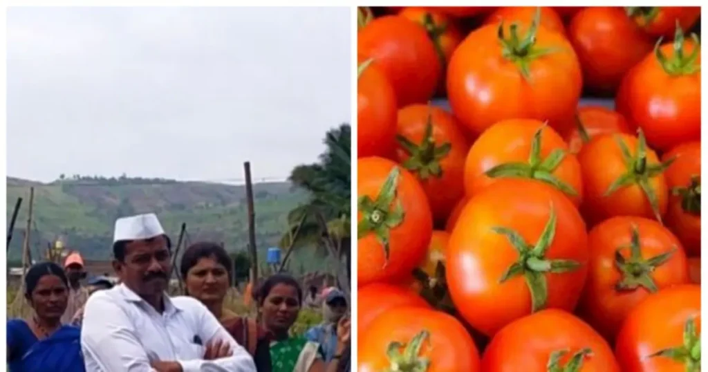 Tomato Rate 168933509316x9 1