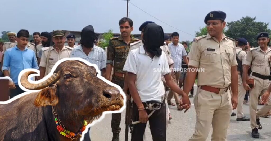 नालंदा से समस्तीपुर आकर तीन दर्जन चोरों का गिरोह करता था मवेशियों की चोरी, ऐसे देता था घटना को अंजाम 1 IMG 20230822 WA0038