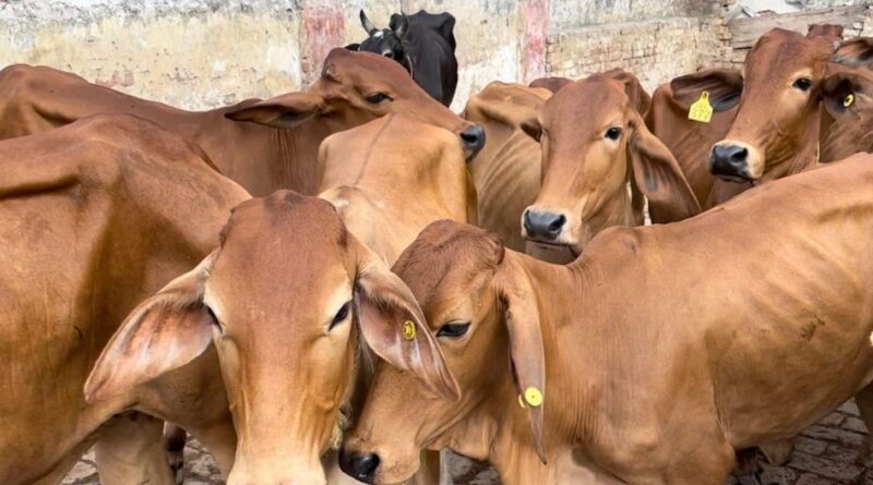 untitled design 2023 06 28t164745.892 sixteen nine 01