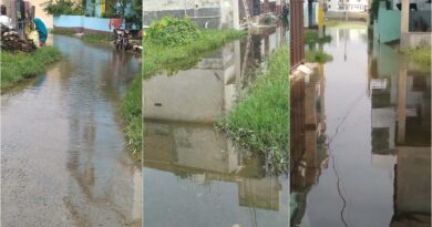 Picsart 23 10 11 12 40 08 626