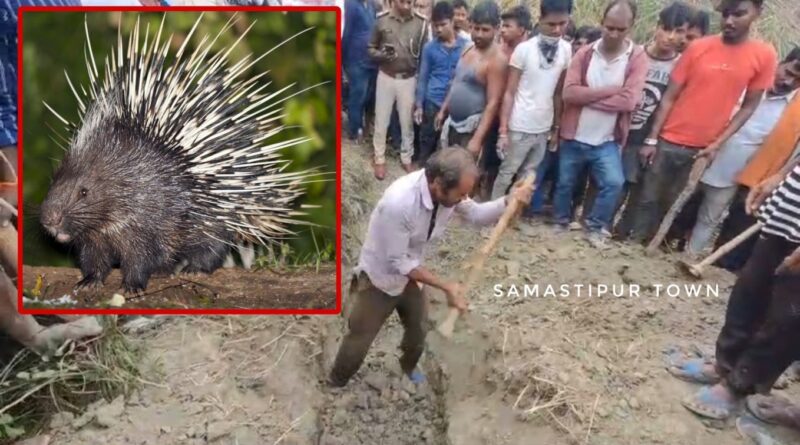 Picsart 23 12 06 23 07 26 500 01