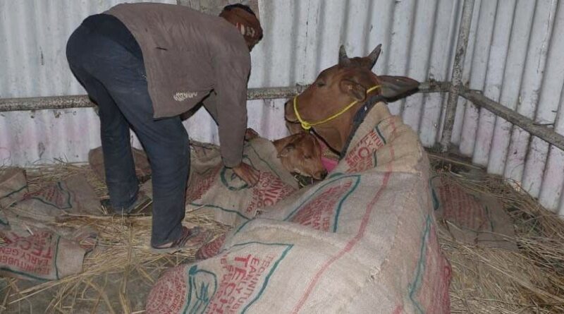 old feedspljlafwicdumyh5vcxzofzsctr8fixvt 01