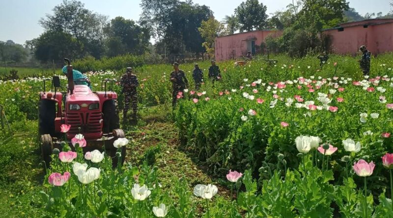 FB IMG 1708686662359