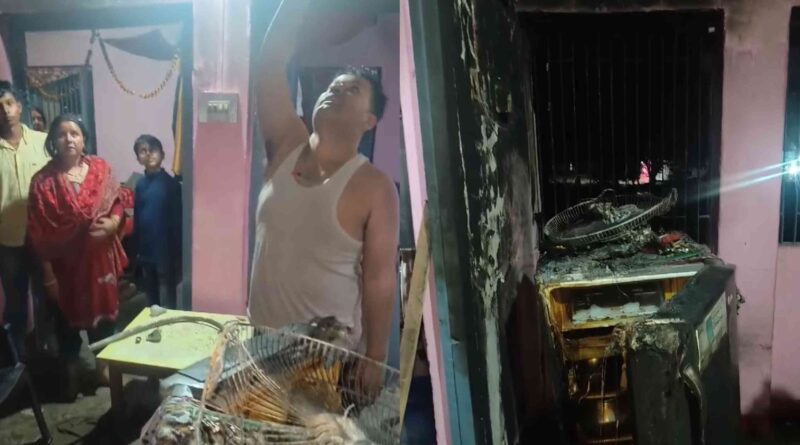 InCollage 20240219 101243433