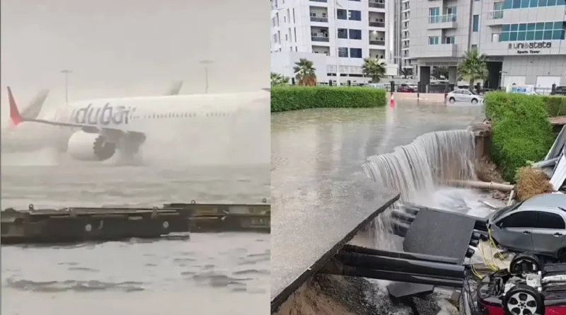 1713327031131 new project 12