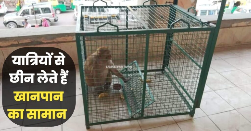 समस्तीपुर स्टेशन पर उत्पात मचा रहे एक बंदर को केले का लालच दे पिंजरा में पकड़ा, दो अब भी है बाहर 1 20240402 100840