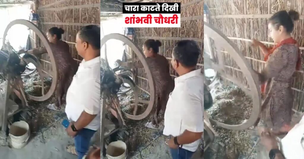 समस्तीपुर में चुनावी प्रचार के दौरान शांभवी चौधरी का अनोखा अंदाज… पशु चारा काटती हुई आई नजर 1 IMG 20240414 WA0071