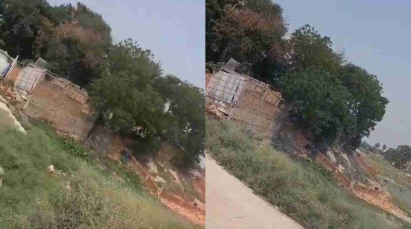 InCollage 20240624 103429953