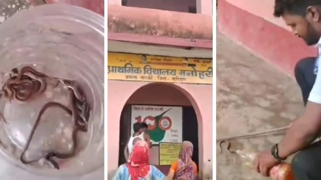 बिहार के इस स्कूल में रोज निकल रहे दर्जनों सांप, छात्र-छात्राओं में दहशत का माहौल, स्कूल बंद करने का निर्देश 1 669142ac2caba 3 125018993 16x9 1