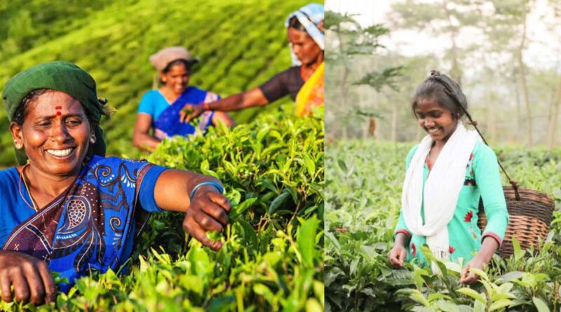 InCollage 20240808 152613943